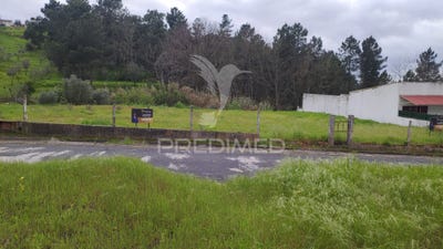 /international/pt/chamusca-e-pinheiro-grande-chamusca-aveiro-310105911069/
