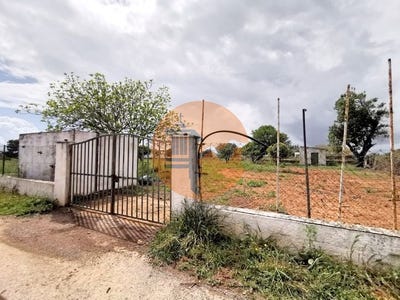 /international/pt/faro-faro-310096373616/
