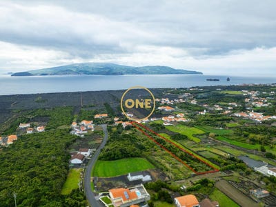 /international/pt/criao-velha-azores-310108211302/