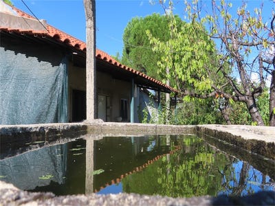 /international/pt/fundao-viana-do-castelo-310096027874/