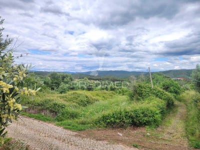 /international/pt/pussos-sao-pedro-alvaiazere-leiria-310108100623/