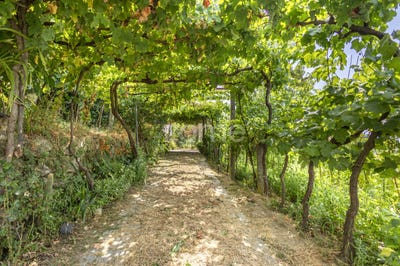 /international/pt/baiao-porto-310101078622/