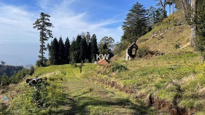 /international/pt/monte-madeira-310108105430/