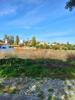 /international/pt/meia-via-santarem-310103745731/