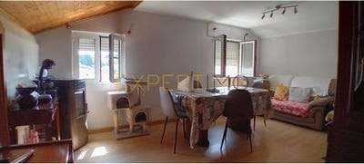 /international/pt/braganca-braganca-310100861189/