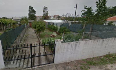 /international/pt/canidelo-vila-nova-de-gaia-porto-310101173103/