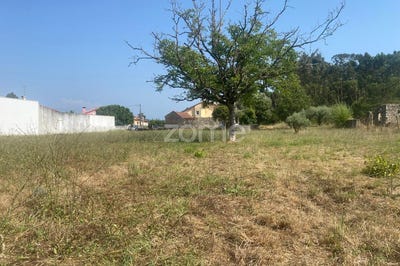 /international/pt/cantanhede-coimbra-310101281809/?lang=zh-tw