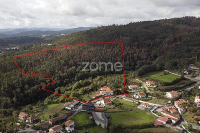 /international/pt/fafe-braga-310095561843/