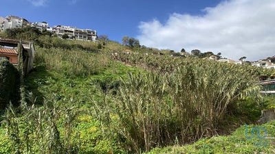 /international/pt/funchal-madeira-120086466899/