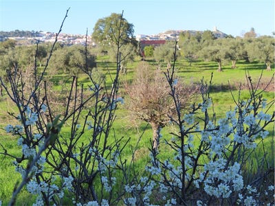 /international/pt/penamacor-castelo-branco-310096028384/