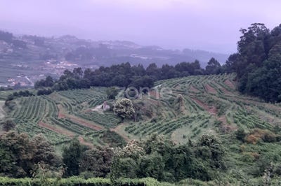 /international/pt/felgueiras-viseu-120082617447/