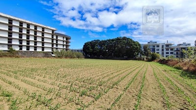 /international/pt/sao-jose-azores-310103464905/