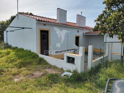 /international/pt/santiago-do-cacem-santa-cruz-e-sao-bartolomeu-da-serra-santiago-do-cacem-setubal-municipality-310103764981/