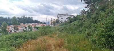 /international/pt/fafe-braga-310100415454/?lang=zh-tw