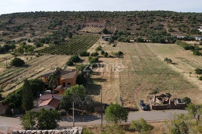 /international/pt/silves-faro-310109072580/?lang=it