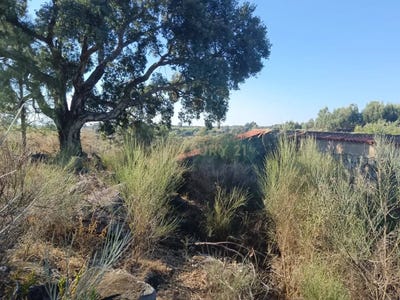 /international/pt/wh9p-v2-escalos-de-cima-portugal-escalos-de-cima-castelo-branco-310105249507/