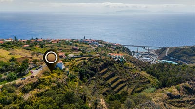 /international/pt/gaula-madeira-310101850479/
