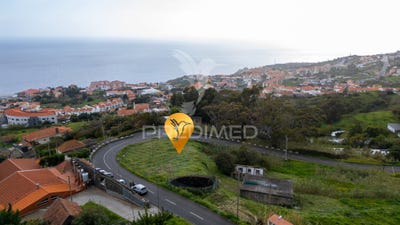 /international/pt/canico-santa-cruz-madeira-310105740311/