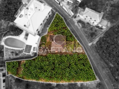 /international/pt/arco-da-calheta-madeira-310108650126/