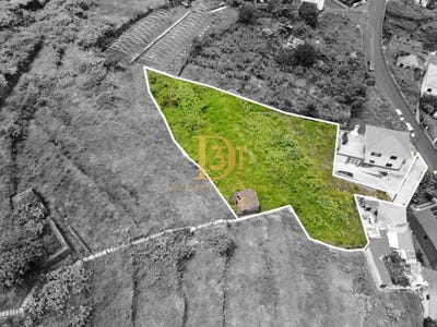 /international/pt/sao-vicente-madeira-madeira-310094536309/