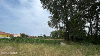 /international/pt/pardilho-aveiro-310109075392/?lang=th