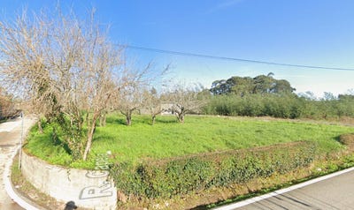 /international/pt/aveiro-aveiro-310100783863/