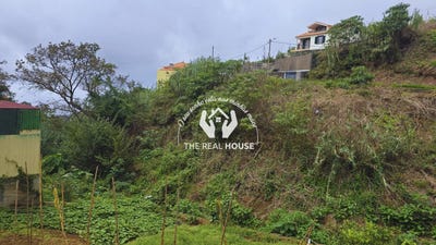 /international/pt/ponta-do-sol-madeira-310108483719/