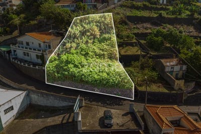 /international/pt/funchal-madeira-120085710804/?lang=th