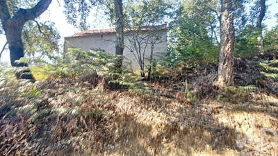/international/pt/leiria-leiria-310105965421/