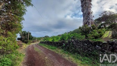 /international/pt/ilha-do-pico-azores-310108181197/