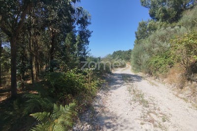 /international/pt/mangualde-viseu-310101471157/