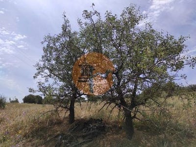 /international/pt/rio-seco-castro-marim-faro-120092390243/