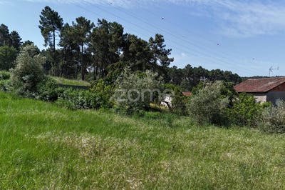 /international/pt/chaves-vila-real-310108307583/