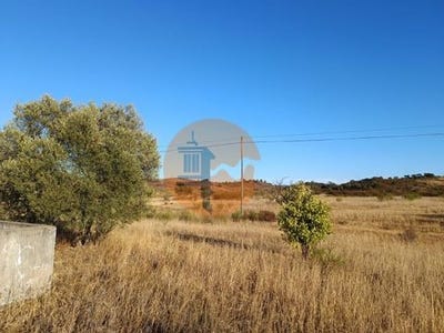 /international/pt/malhao-castro-marim-faro-120093627452/
