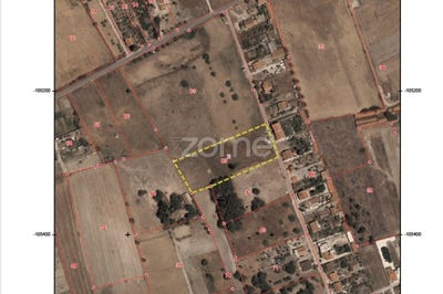 /international/pt/montijo-setubal-municipality-310095981115/