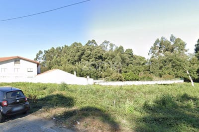 /international/pt/espinho-castelo-branco-310100673000/