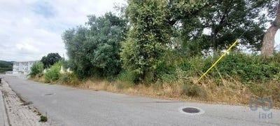/international/pt/leiria-leiria-310100662651/