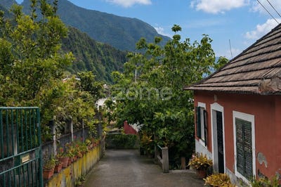 /international/pt/sao-vicente-madeira-310106592256/