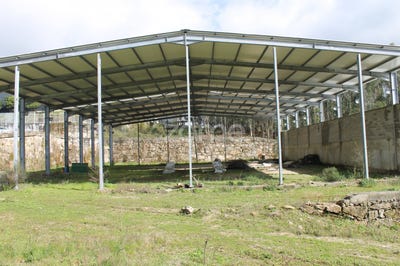 /international/pt/vila-nova-de-famalicao-braga-120091939542/