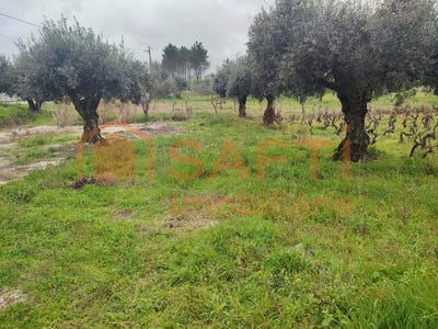 /international/pt/urqueira-santarem-310100490674/