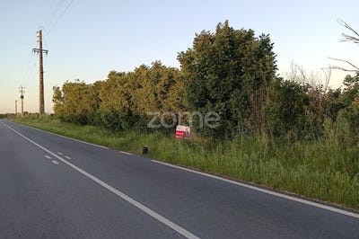 /international/pt/campo-maior-portalegre-120091771953/?lang=zh-cn