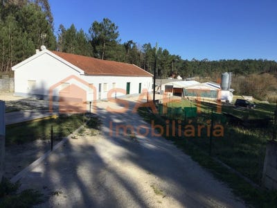 /international/pt/freixianda-santarem-310100487470/