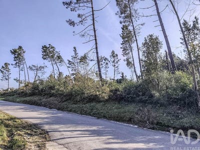 /international/pt/leiria-leiria-310106605166/