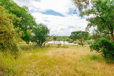/international/pt/herdade-da-aroeira-santo-estevao-santarem-310099653890/