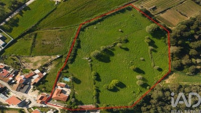 /international/pt/leiria-leiria-310098219553/