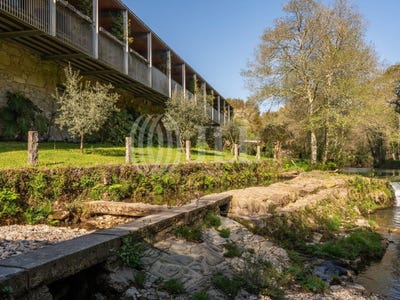 /international/pt/freixieiro-de-soutelo-viana-do-castelo-310106835824/