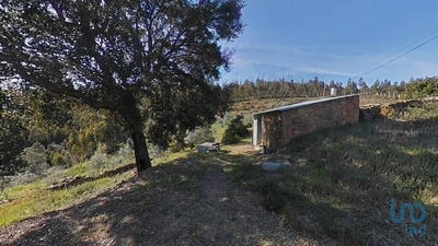 /international/pt/castelo-branco-braganca-310097616287/?lang=zh-tw
