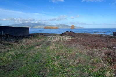 /international/pt/madalena-azores-120082363323/