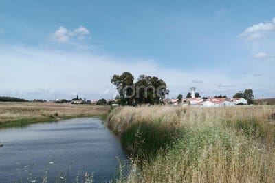 /international/pt/castro-verde-beja-310100575042/