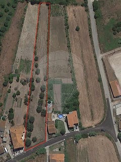 /international/pt/santo-varao-coimbra-120087936523/